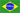 Português - Brasileiro